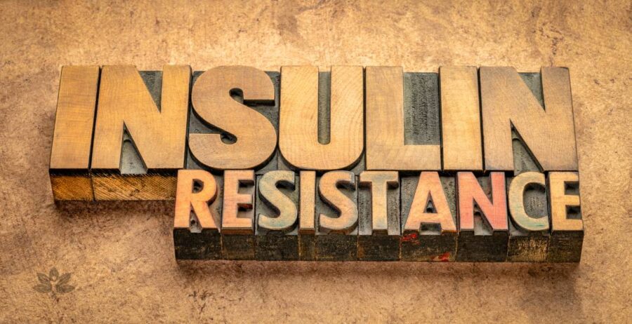 Riziko inzulínové rezistence